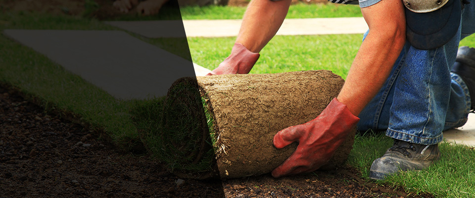 Delphos Landscapers